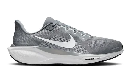 Nike Pegasus 41
